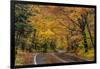 Highway 41 covered roadway in autumn near Copper Harbor in the Upper Peninsula of Michigan, USA-Chuck Haney-Framed Photographic Print