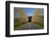 Highway 65, Buller Region, West Coast, South Island, New Zealand-David Wall-Framed Photographic Print