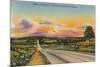 Highway 71, Fayetteville, Arkansas-null-Mounted Art Print