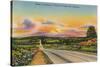 Highway 71, Fayetteville, Arkansas-null-Stretched Canvas