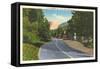 Highway 74, at Bat Cave-null-Framed Stretched Canvas