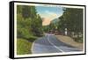 Highway 74, at Bat Cave-null-Framed Stretched Canvas