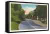 Highway 74, at Bat Cave-null-Framed Stretched Canvas