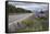 Highway 8 Passing Through Field of Lupins, Near Lake Tekapo, Canterbury Region-Stuart Black-Framed Stretched Canvas