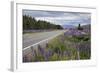 Highway 8 Passing Through Field of Lupins, Near Lake Tekapo, Canterbury Region-Stuart Black-Framed Photographic Print