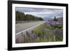 Highway 8 Passing Through Field of Lupins, Near Lake Tekapo, Canterbury Region-Stuart Black-Framed Photographic Print