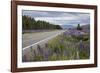 Highway 8 Passing Through Field of Lupins, Near Lake Tekapo, Canterbury Region-Stuart Black-Framed Photographic Print