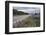 Highway 8 Passing Through Field of Lupins, Near Lake Tekapo, Canterbury Region-Stuart Black-Framed Photographic Print