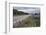 Highway 8 Passing Through Field of Lupins, Near Lake Tekapo, Canterbury Region-Stuart Black-Framed Photographic Print