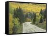 Highway 82 Through Autumn Aspen Trees, San Isabel National Forest, Colorado, USA-Adam Jones-Framed Stretched Canvas