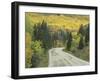 Highway 82 Through Autumn Aspen Trees, San Isabel National Forest, Colorado, USA-Adam Jones-Framed Photographic Print