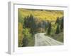 Highway 82 Through Autumn Aspen Trees, San Isabel National Forest, Colorado, USA-Adam Jones-Framed Photographic Print