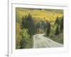 Highway 82 Through Autumn Aspen Trees, San Isabel National Forest, Colorado, USA-Adam Jones-Framed Photographic Print