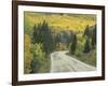 Highway 82 Through Autumn Aspen Trees, San Isabel National Forest, Colorado, USA-Adam Jones-Framed Photographic Print