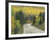 Highway 82 Through Autumn Aspen Trees, San Isabel National Forest, Colorado, USA-Adam Jones-Framed Photographic Print