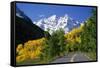 Highway Below Maroon Bells-Darrell Gulin-Framed Stretched Canvas