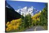 Highway Below Maroon Bells-Darrell Gulin-Stretched Canvas