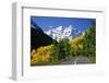 Highway Below Maroon Bells-Darrell Gulin-Framed Photographic Print