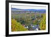 Highway Bridge of Highway A1 near Fell, Moselle Valley, Rhineland-Palatinate, Germany, Europe-Hans-Peter Merten-Framed Photographic Print