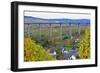 Highway Bridge of Highway A1 near Fell, Moselle Valley, Rhineland-Palatinate, Germany, Europe-Hans-Peter Merten-Framed Photographic Print