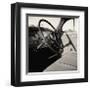 Highway no. 2-Andrew Ren-Framed Giclee Print