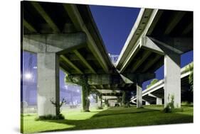 Highway Overpass at Night-Paul Souders-Stretched Canvas