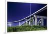 Highway Overpass in New Orleans-Paul Souders-Framed Photographic Print