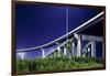 Highway Overpass in New Orleans-Paul Souders-Framed Photographic Print
