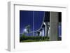 Highway Overpass, New Orleans, Louisiana-Paul Souders-Framed Photographic Print