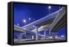 Highway Overpasses, Tampa, Florida-null-Framed Stretched Canvas