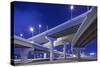 Highway Overpasses, Tampa, Florida-null-Stretched Canvas