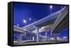 Highway Overpasses, Tampa, Florida-null-Framed Stretched Canvas