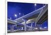 Highway Overpasses, Tampa, Florida-null-Framed Premium Photographic Print