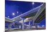 Highway Overpasses, Tampa, Florida-null-Mounted Premium Photographic Print