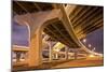 Highway Overpasses, Tampa, Florida-null-Mounted Photographic Print