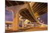 Highway Overpasses, Tampa, Florida-null-Mounted Photographic Print