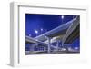 Highway Overpasses, Tampa, Florida-null-Framed Photographic Print