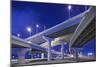 Highway Overpasses, Tampa, Florida-null-Mounted Photographic Print