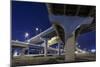 Highway Overpasses, Tampa, Florida-Paul Souders-Mounted Photographic Print