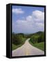 Highway Passing Through Taledega National Forest-James Randklev-Framed Stretched Canvas