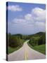 Highway Passing Through Taledega National Forest-James Randklev-Stretched Canvas