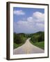 Highway Passing Through Taledega National Forest-James Randklev-Framed Photographic Print