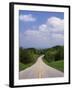 Highway Passing Through Taledega National Forest-James Randklev-Framed Photographic Print