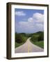 Highway Passing Through Taledega National Forest-James Randklev-Framed Photographic Print