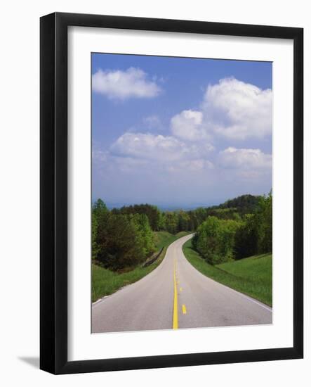 Highway Passing Through Taledega National Forest-James Randklev-Framed Photographic Print