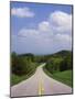 Highway Passing Through Taledega National Forest-James Randklev-Mounted Photographic Print