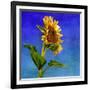 Highway Sunshine-Terri Hill-Framed Giclee Print