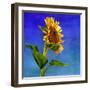 Highway Sunshine-Terri Hill-Framed Giclee Print