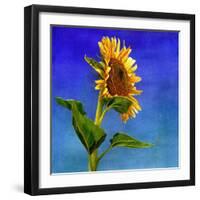 Highway Sunshine-Terri Hill-Framed Giclee Print