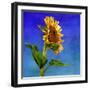 Highway Sunshine-Terri Hill-Framed Giclee Print